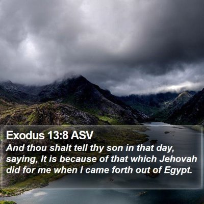 Exodus 13:8 ASV Bible Verse Image