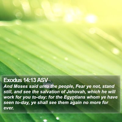 Exodus 14:13 ASV Bible Verse Image