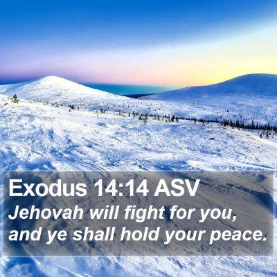 Exodus 14:14 ASV Bible Verse Image