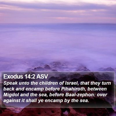 Exodus 14:2 ASV Bible Verse Image