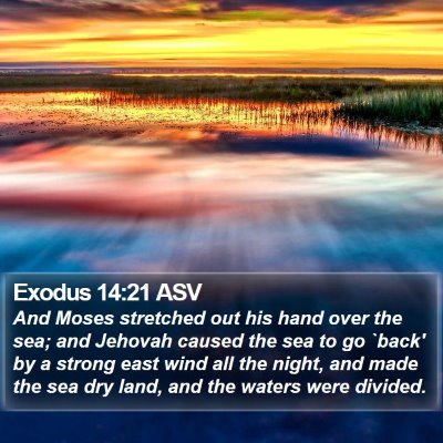 Exodus 14:21 ASV Bible Verse Image
