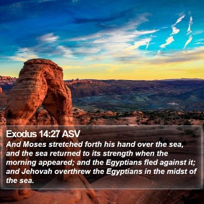 Exodus 14:27 ASV Bible Verse Image
