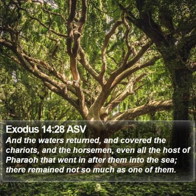Exodus 14:28 ASV Bible Verse Image
