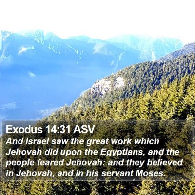Exodus 14:31 ASV Bible Verse Image