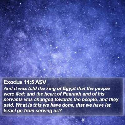 Exodus 14:5 ASV Bible Verse Image