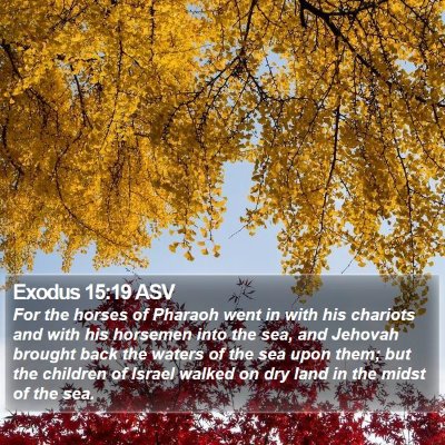 Exodus 15:19 ASV Bible Verse Image