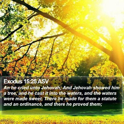 Exodus 15:25 ASV Bible Verse Image