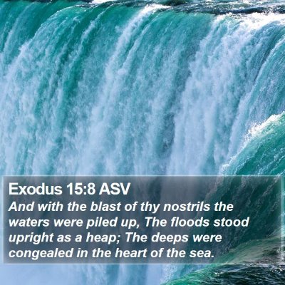 Exodus 15:8 ASV Bible Verse Image