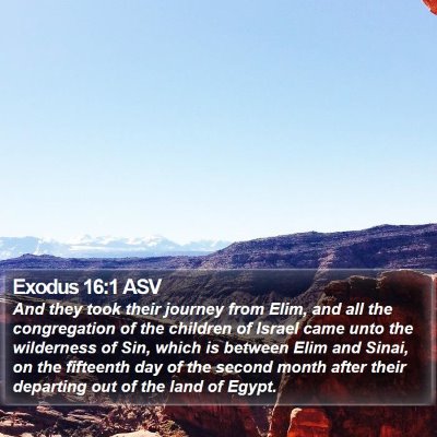 Exodus 16:1 ASV Bible Verse Image