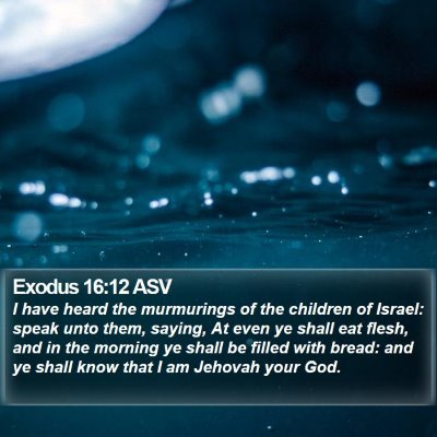 Exodus 16:12 ASV Bible Verse Image