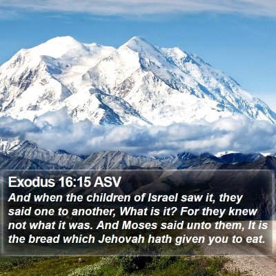 Exodus 16:15 ASV Bible Verse Image
