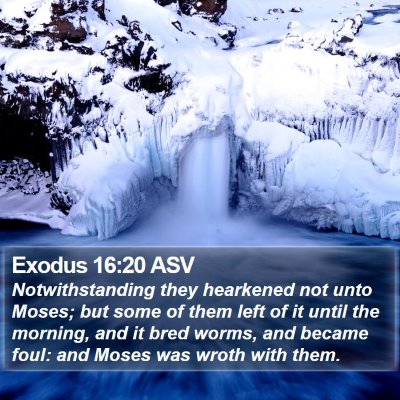Exodus 16:20 ASV Bible Verse Image