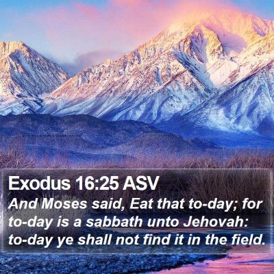 Exodus 16:25 ASV Bible Verse Image