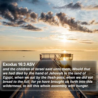 Exodus 16:3 ASV Bible Verse Image
