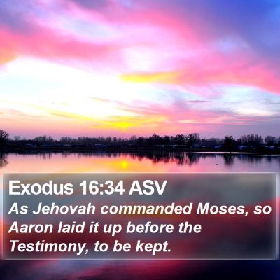 Exodus 16:34 ASV Bible Verse Image