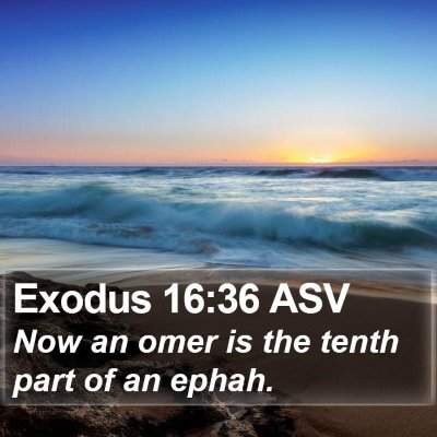 Exodus 16:36 ASV Bible Verse Image