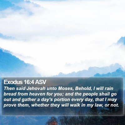 Exodus 16:4 ASV Bible Verse Image