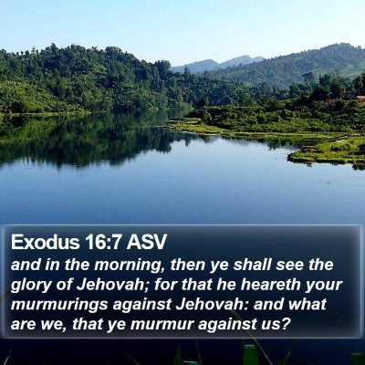Exodus 16:7 ASV Bible Verse Image