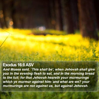 Exodus 16:8 ASV Bible Verse Image