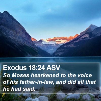 Exodus 18:24 ASV Bible Verse Image