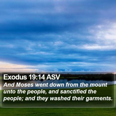 Exodus 19:14 ASV Bible Verse Image