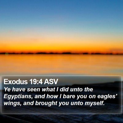 Exodus 19:4 ASV Bible Verse Image