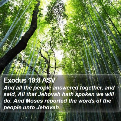 Exodus 19:8 ASV Bible Verse Image