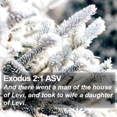 Exodus 2:1 ASV Bible Verse Image