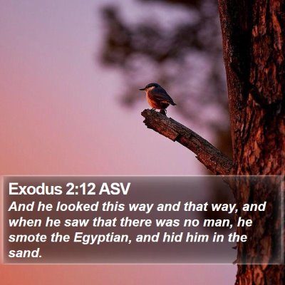 Exodus 2:12 ASV Bible Verse Image