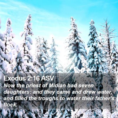 Exodus 2:16 ASV Bible Verse Image