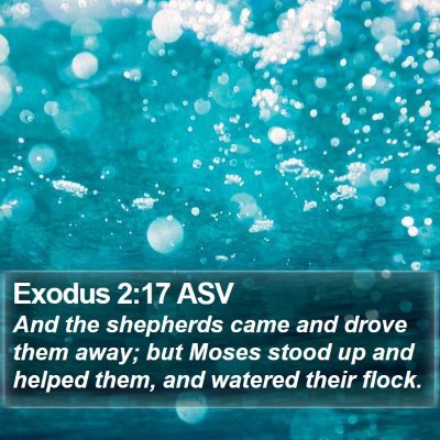 Exodus 2:17 ASV Bible Verse Image