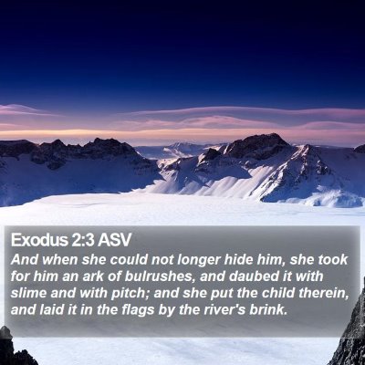 Exodus 2:3 ASV Bible Verse Image