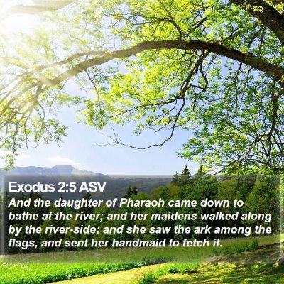 Exodus 2:5 ASV Bible Verse Image