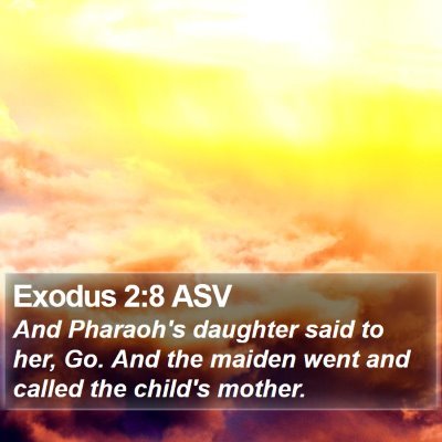 Exodus 2:8 ASV Bible Verse Image