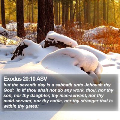 Exodus 20:10 ASV Bible Verse Image
