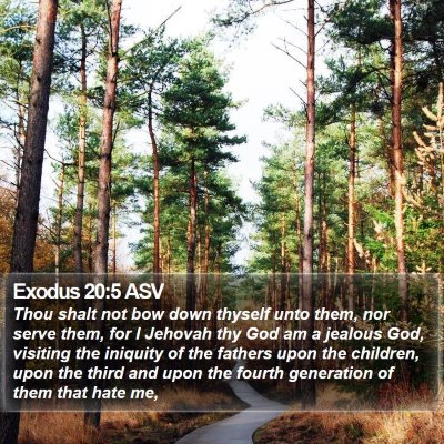 Exodus 20:5 ASV Bible Verse Image