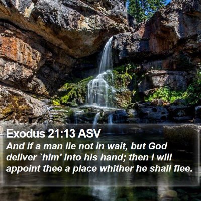 Exodus 21:13 ASV Bible Verse Image