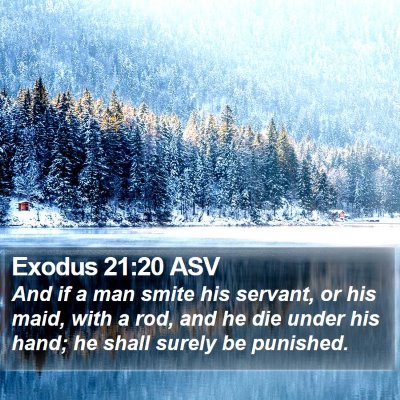Exodus 21:20 ASV Bible Verse Image