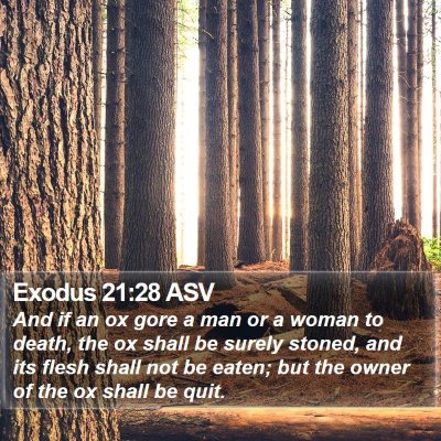 Exodus 21:28 ASV Bible Verse Image