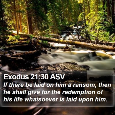 Exodus 21:30 ASV Bible Verse Image