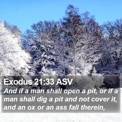 Exodus 21:33 ASV Bible Verse Image