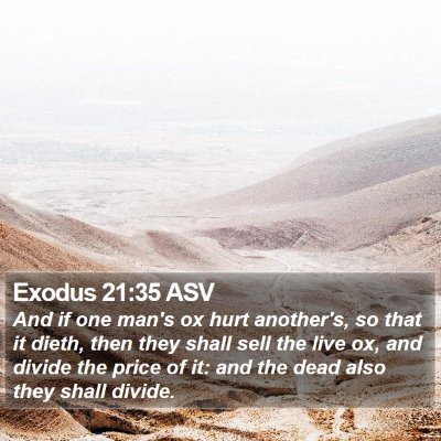 Exodus 21:35 ASV Bible Verse Image
