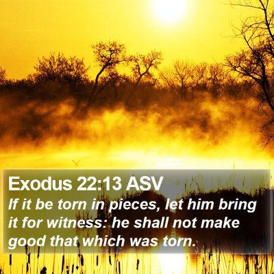 Exodus 22:13 ASV Bible Verse Image