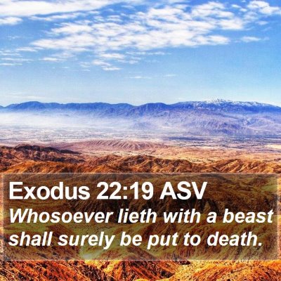 Exodus 22:19 ASV Bible Verse Image