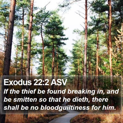 Exodus 22:2 ASV Bible Verse Image