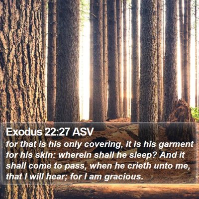 Exodus 22:27 ASV Bible Verse Image