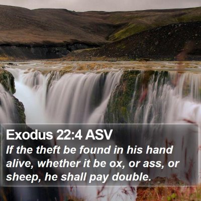 Exodus 22:4 ASV Bible Verse Image