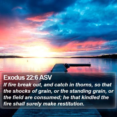 Exodus 22:6 ASV Bible Verse Image