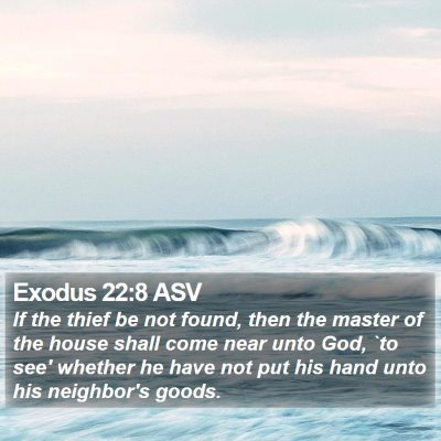 Exodus 22:8 ASV Bible Verse Image
