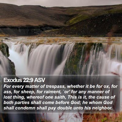 Exodus 22:9 ASV Bible Verse Image
